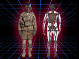 News: Research Institute of Environmental Medicine creating 3-D Soldier Avatars